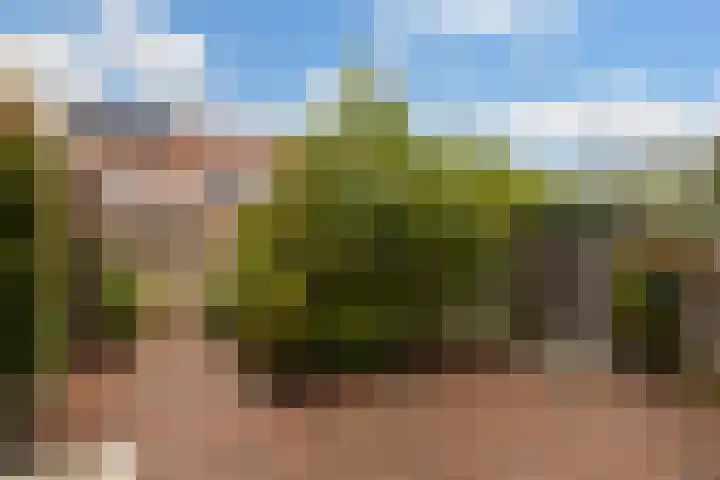 Polderbaan 17 Woerden thumbnail 19