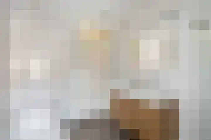 Polderbaan 17 Woerden thumbnail 24