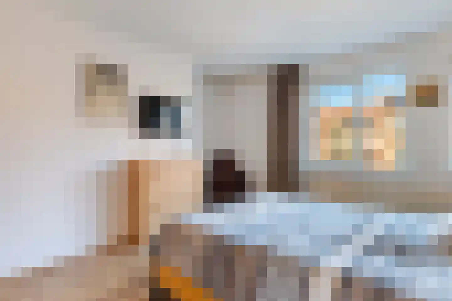 Polderbaan 3 Woerden thumbnail 17