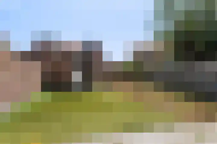 Polderbaan 9 Woerden thumbnail 21