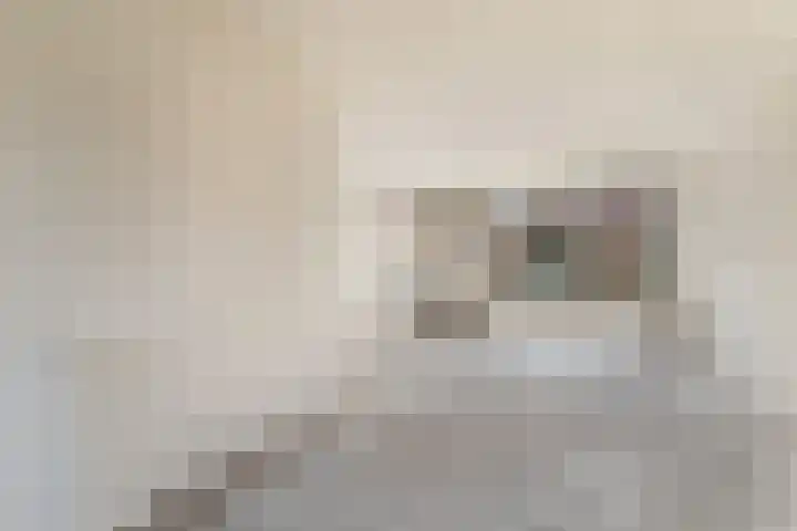 Polderbaan 9 Woerden thumbnail 6