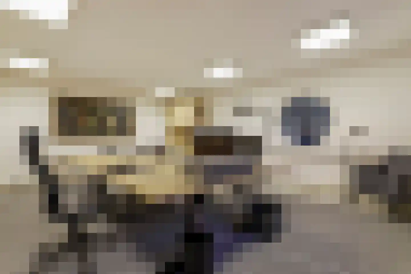 Polderboskdyk 1 A Joure thumbnail 13