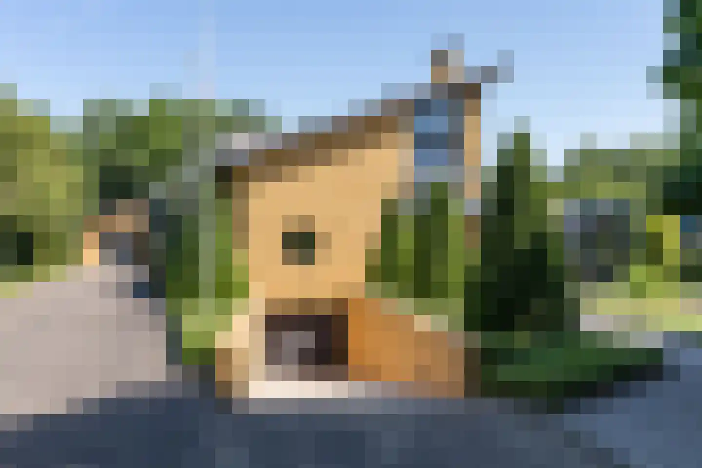 Polderboskdyk 1 Joure thumbnail 10