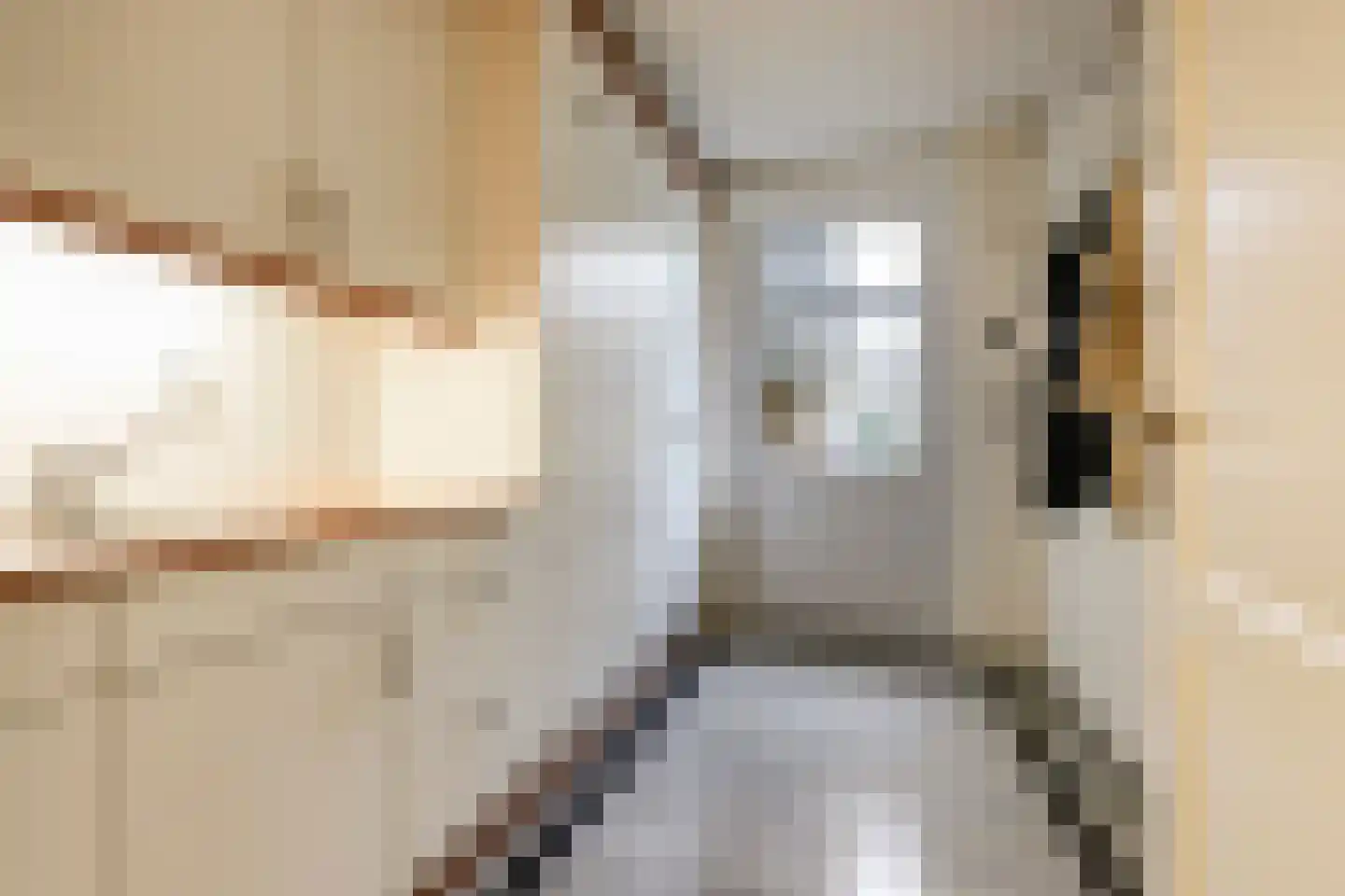 Polderboskdyk 1 Joure thumbnail 32