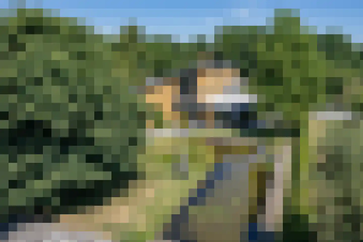 Polderboskdyk 1 Joure thumbnail 4