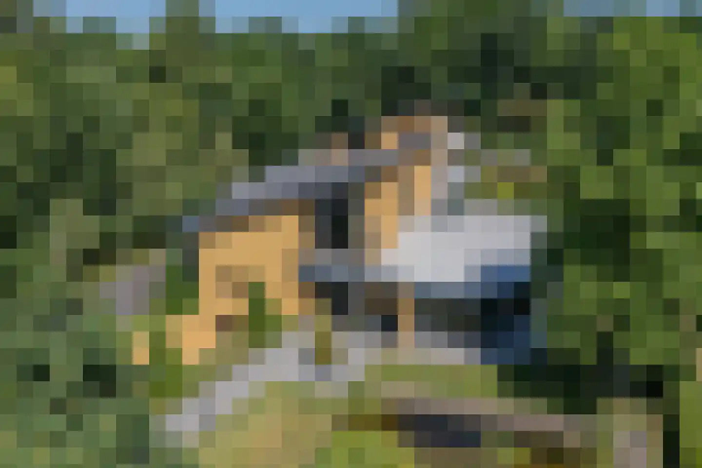 Polderboskdyk 1 Joure thumbnail 4