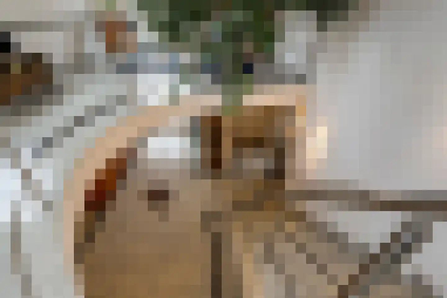 Polderboskdyk 1 Joure thumbnail 40