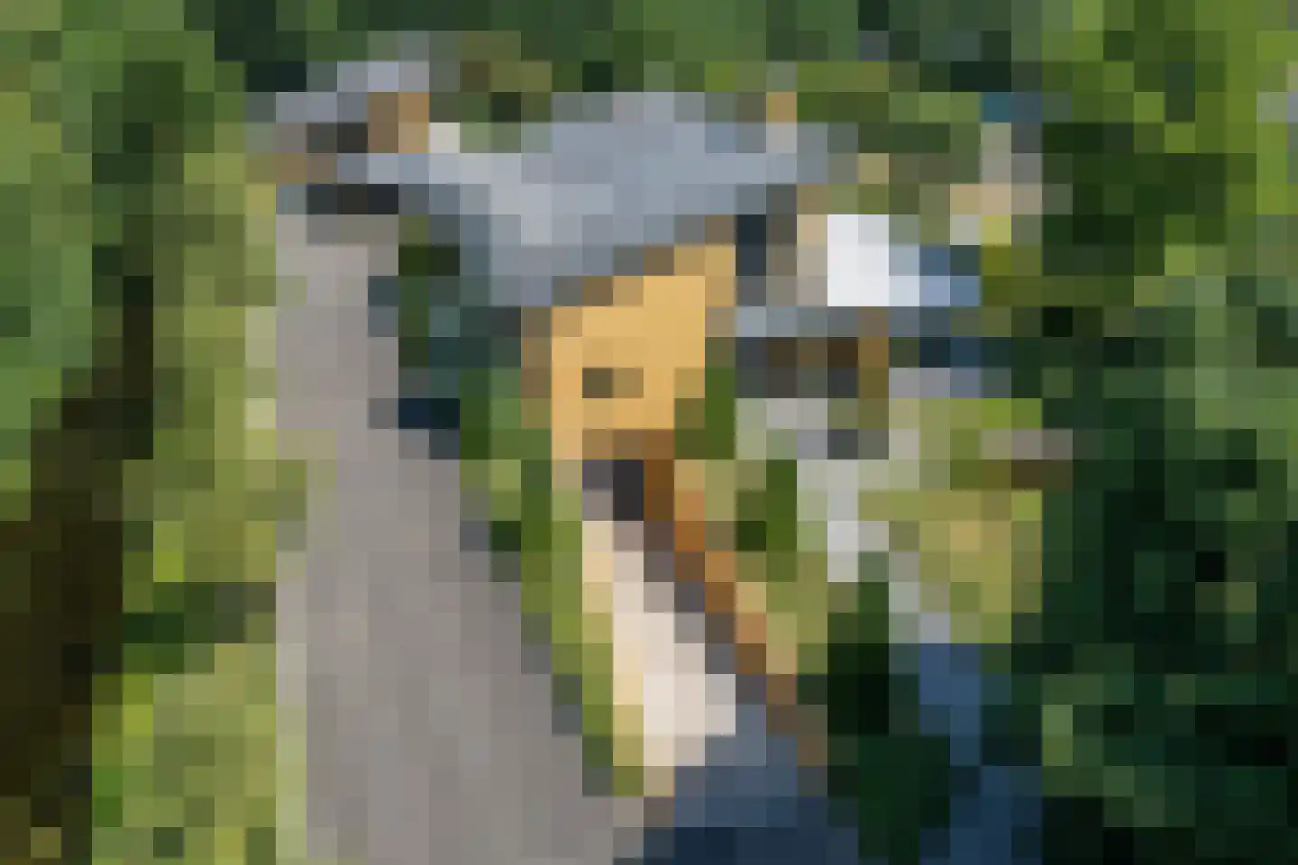 Polderboskdyk 1 Joure thumbnail 5