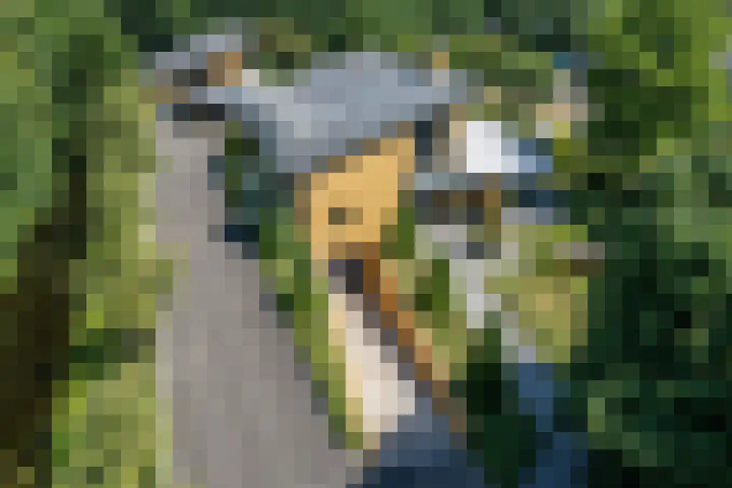 Polderboskdyk 1 Joure thumbnail 5