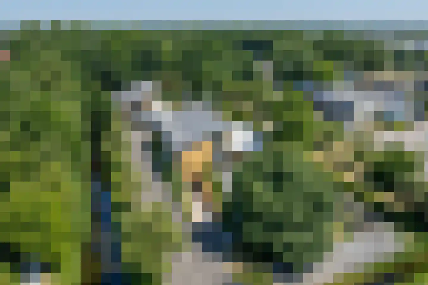 Polderboskdyk 1 Joure thumbnail 7