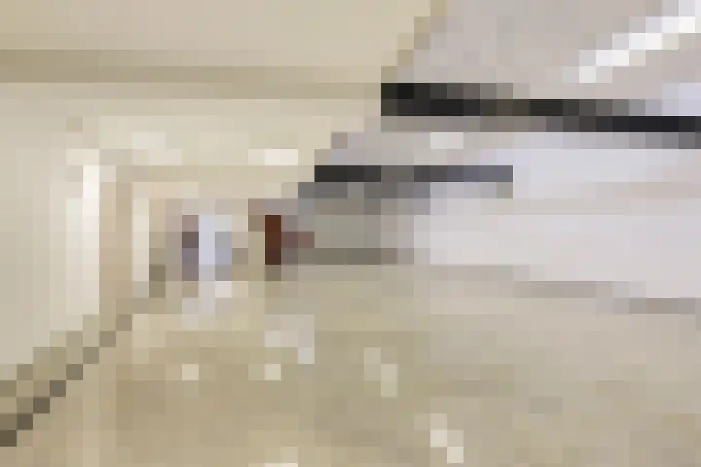 Polderboskdyk 1 Joure thumbnail 72