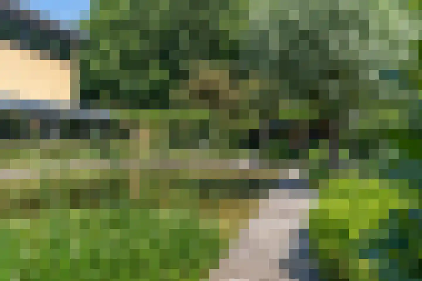 Polderboskdyk 1 Joure thumbnail 76
