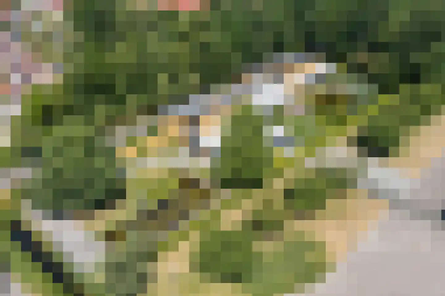 Polderboskdyk 1 Joure thumbnail 8