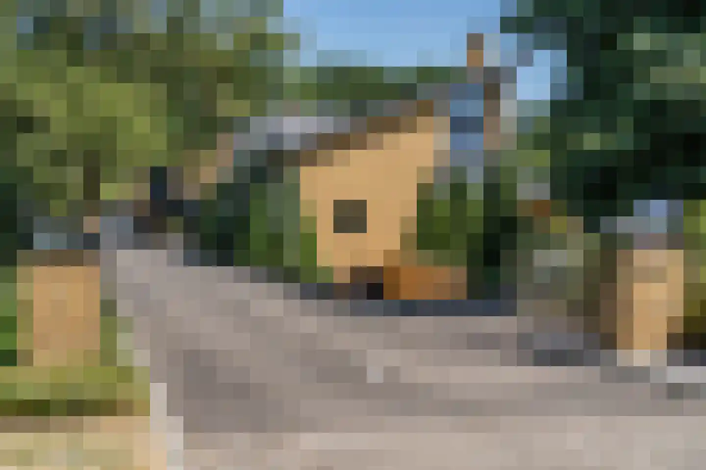 Polderboskdyk 1 Joure thumbnail 8