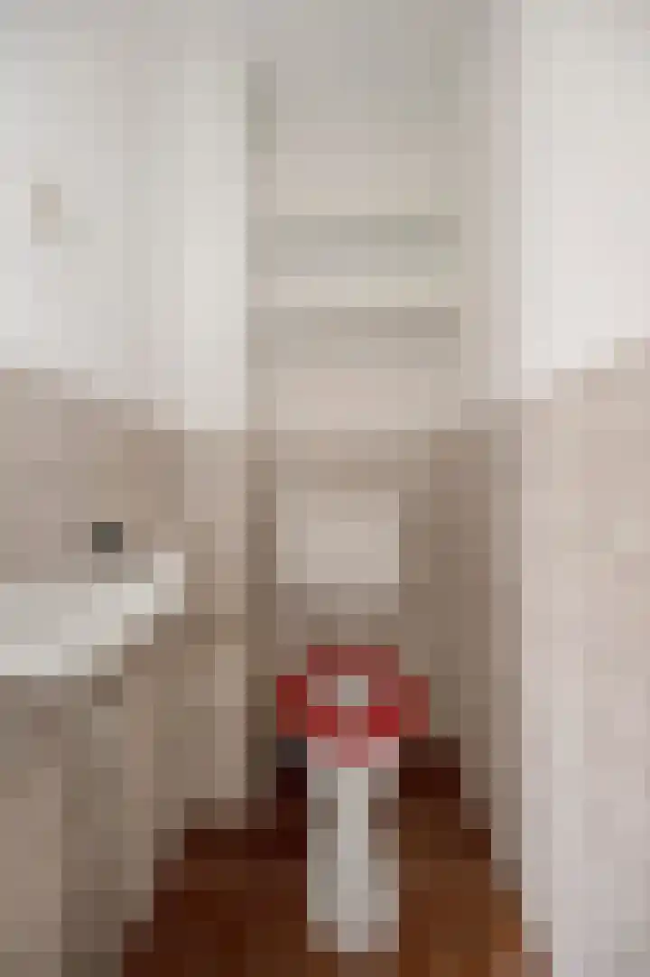 Polderbrink 4 Bodegraven thumbnail 15