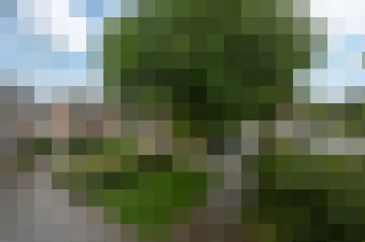 Polderbrink 4 Bodegraven thumbnail 20