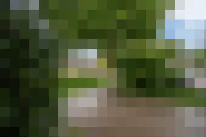 Polderbrink 4 Bodegraven thumbnail 29