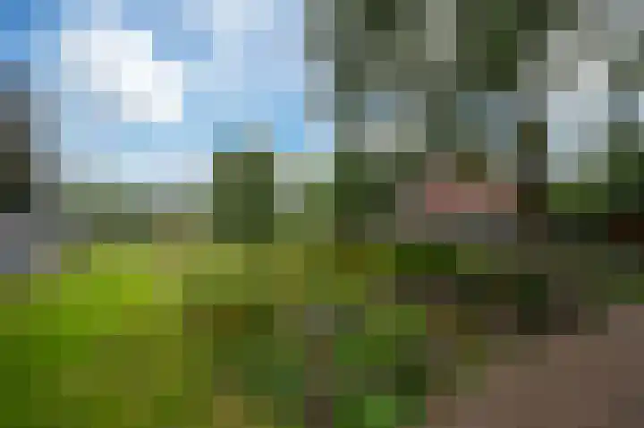 Polderbrink 4 Bodegraven thumbnail 30