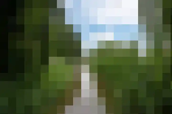 Polderbrink 4 Bodegraven thumbnail 31