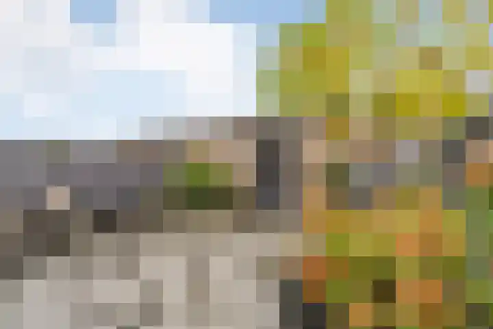 Polderburg 49 Hoofddorp thumbnail 27