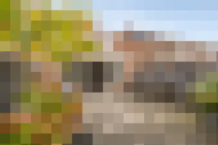Polderburg 49 Hoofddorp thumbnail 30