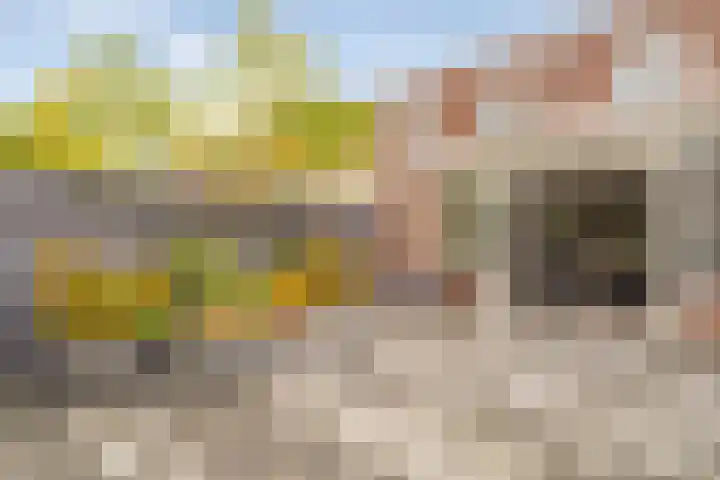 Polderburg 49 Hoofddorp thumbnail 31