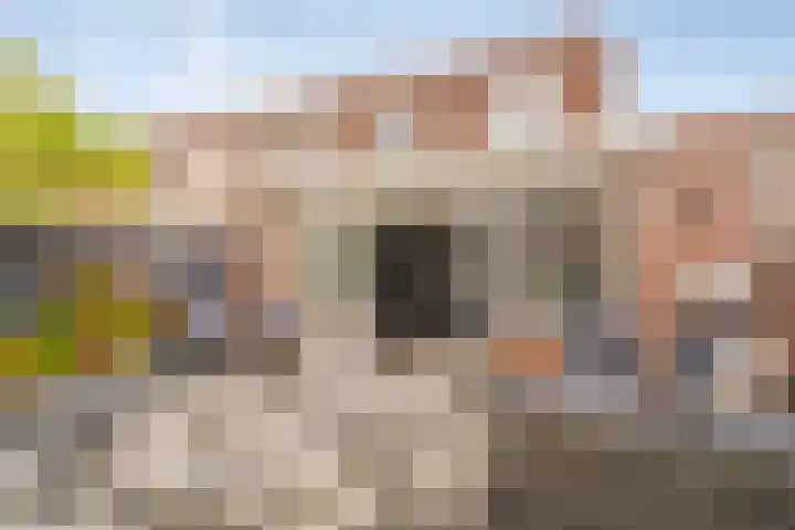 Polderburg 49 Hoofddorp thumbnail 32