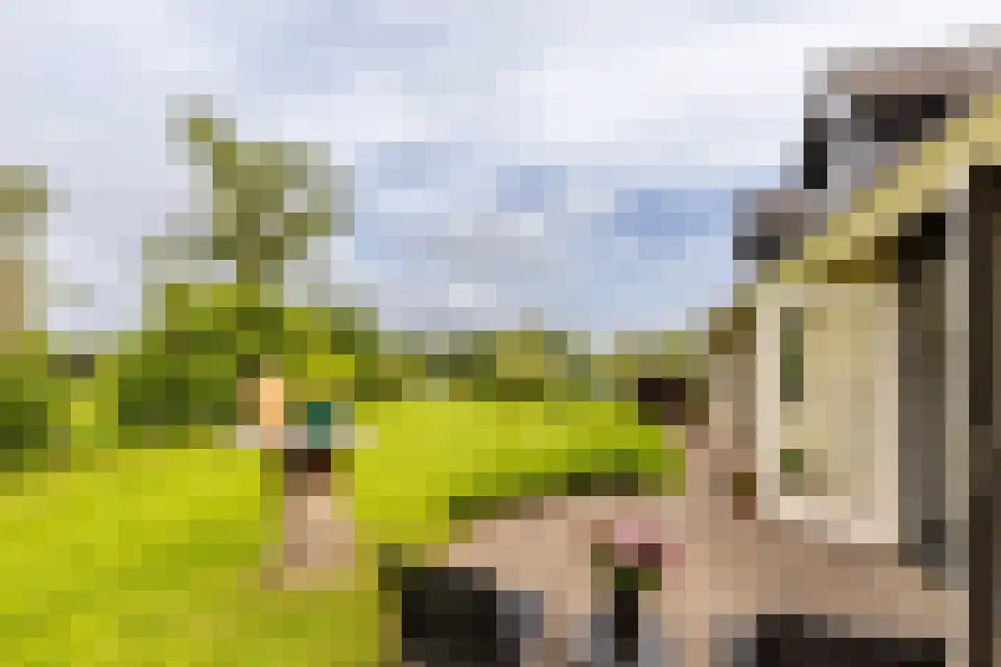 Polderdijk 20 Maasdam thumbnail 28