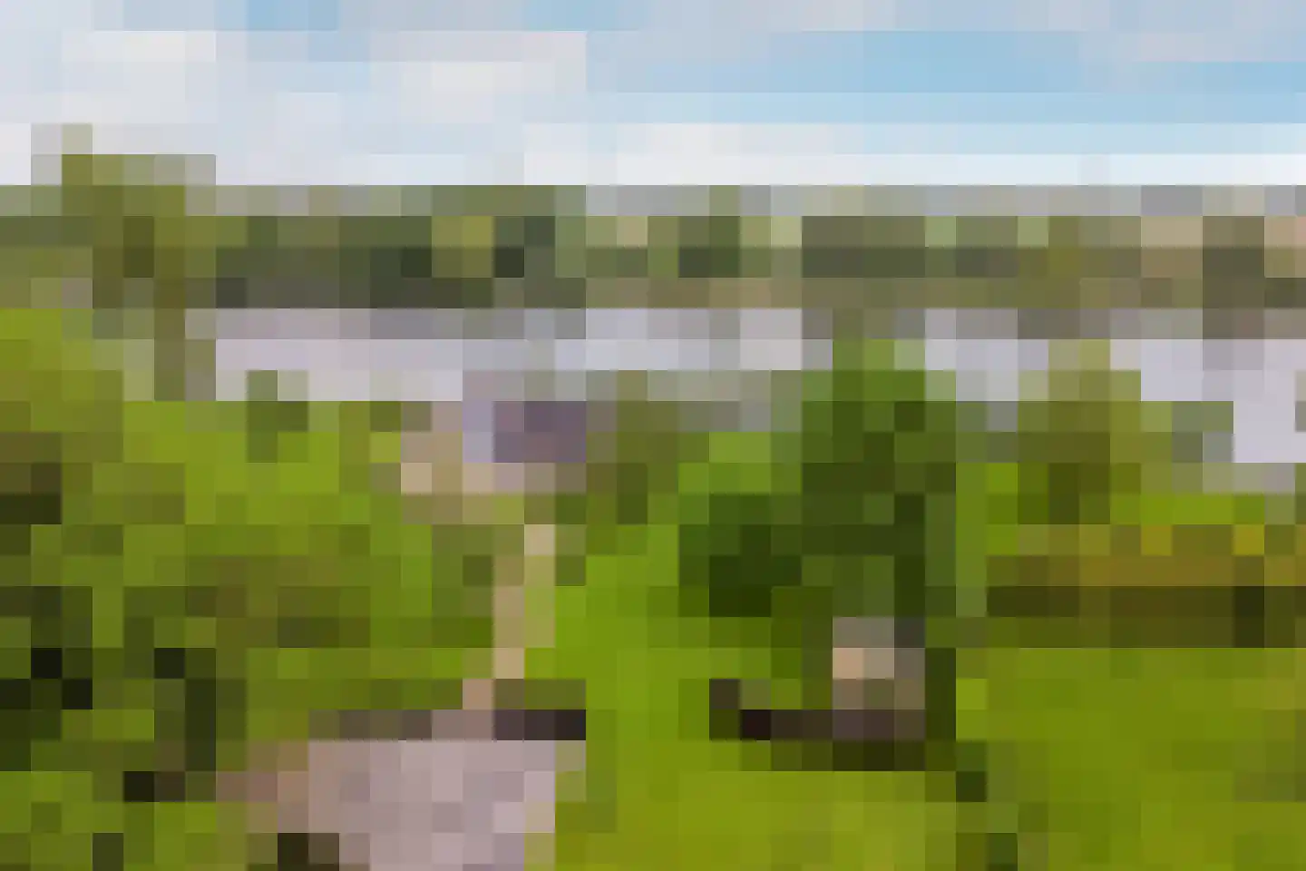 Polderdijk 20 Maasdam thumbnail 37