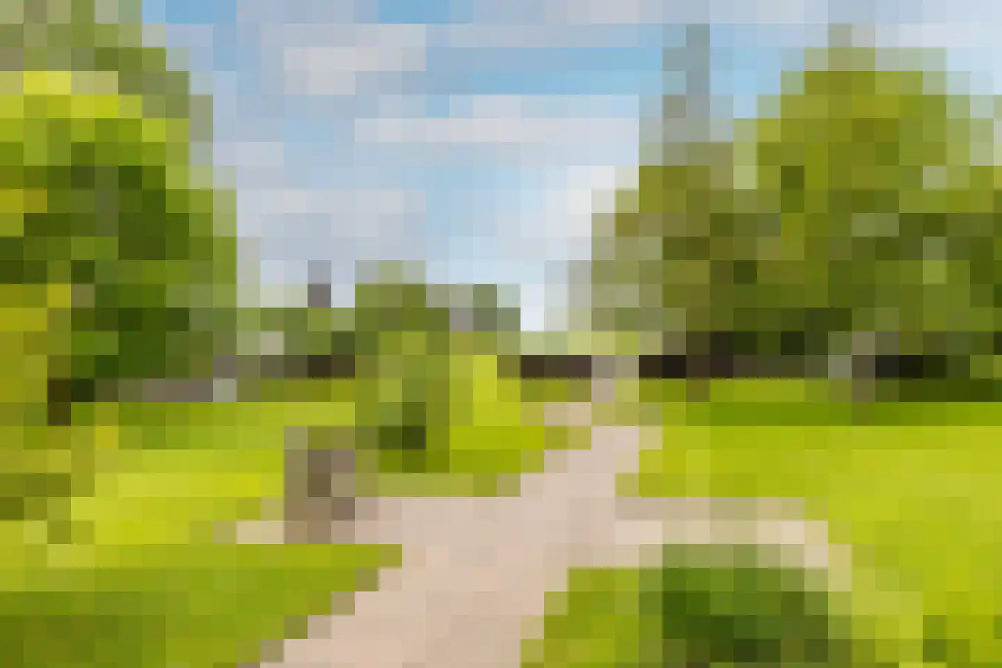 Polderdijk 20 Maasdam thumbnail 41