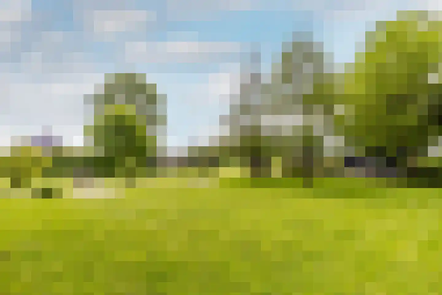 Polderdijk 20 Maasdam thumbnail 42