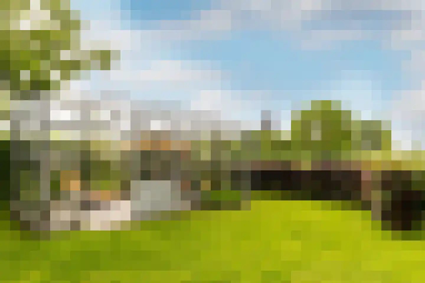 Polderdijk 20 Maasdam thumbnail 43