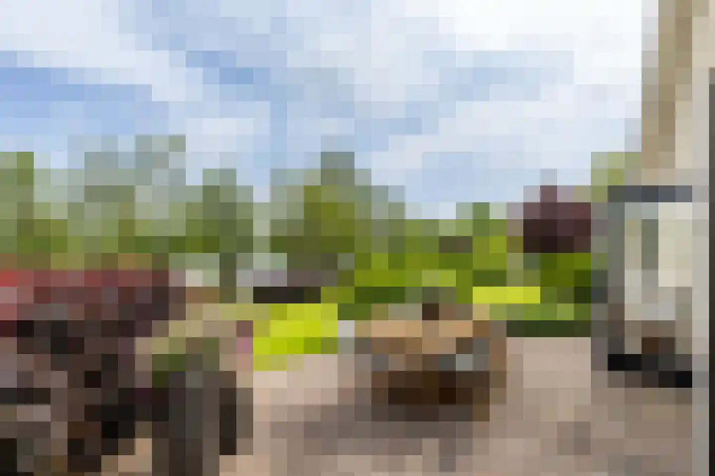 Polderdijk 20 Maasdam thumbnail 45