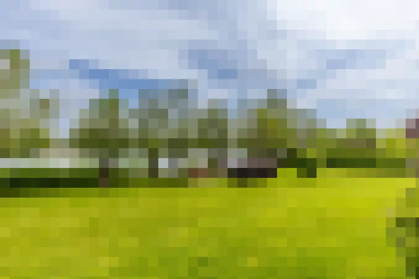 Polderdijk 20 Maasdam thumbnail 46