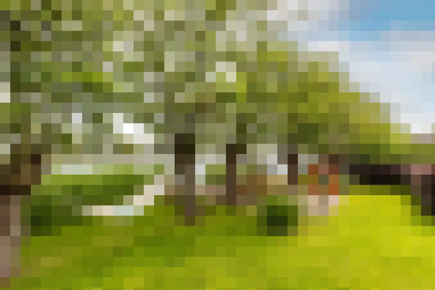Polderdijk 20 Maasdam thumbnail 47