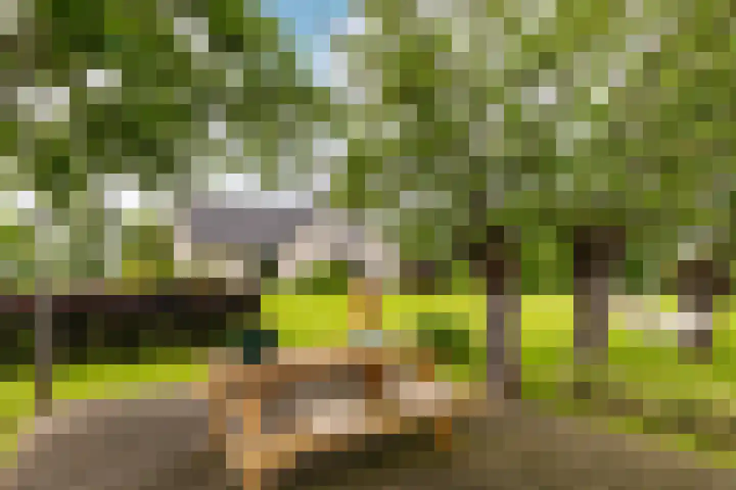 Polderdijk 20 Maasdam thumbnail 6