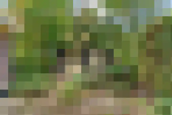 Polderdijk 32 Rumpt thumbnail 32