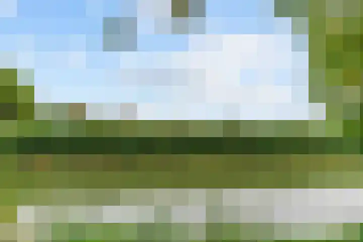 Polderdijk 32 Rumpt thumbnail 33