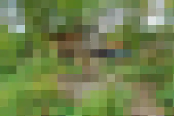 Polderdijk 32 Rumpt thumbnail 34