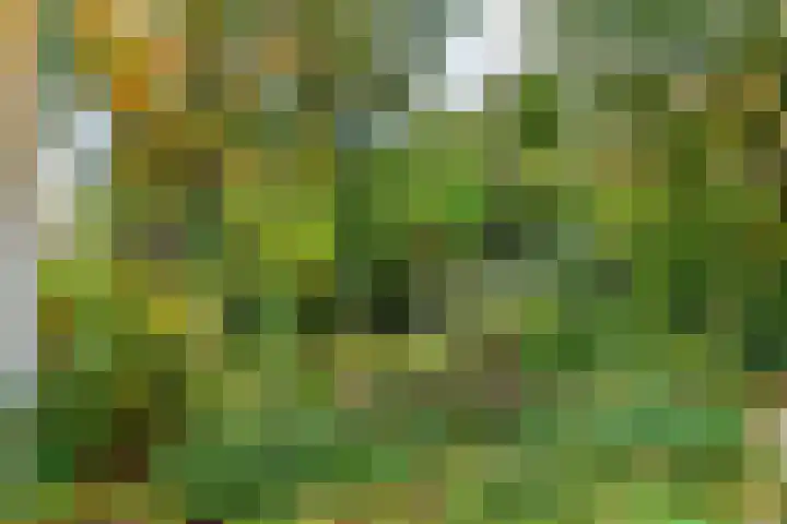 Polderdijk 32 Rumpt thumbnail 35