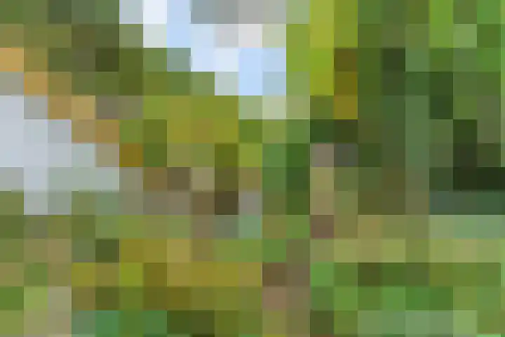 Polderdijk 32 Rumpt thumbnail 37