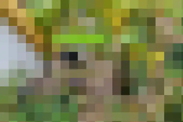 Polderdijk 32 Rumpt thumbnail 38