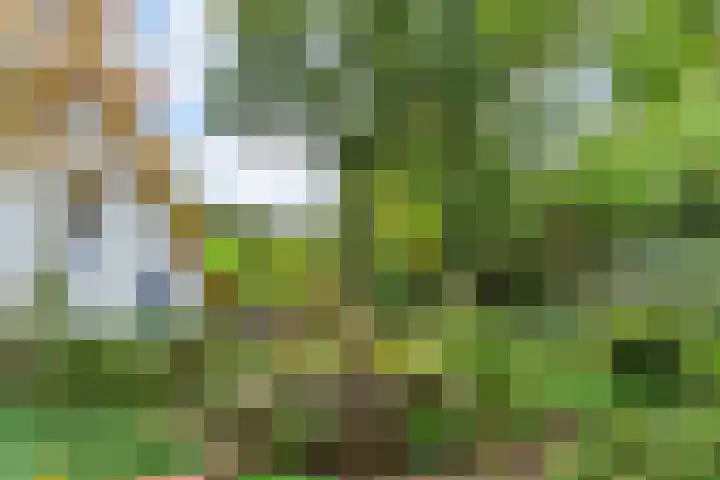 Polderdijk 32 Rumpt thumbnail 4