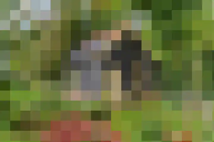 Polderdijk 32 Rumpt thumbnail 5