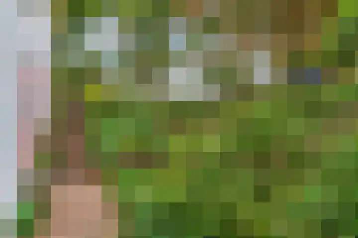 Polderdijk 32 Rumpt thumbnail 50