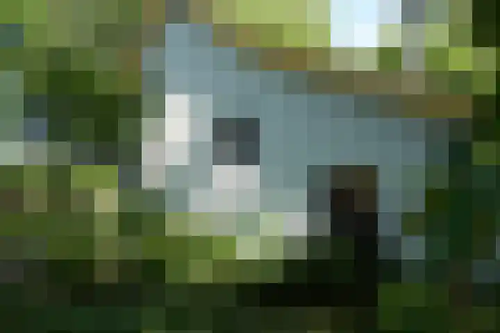 Polderdijk 32 Rumpt thumbnail 52