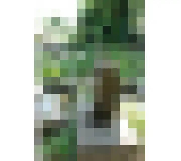 Polderdijk 32 Rumpt thumbnail 53