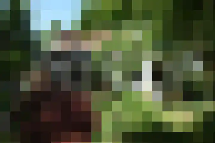 Polderdijk 32 Rumpt thumbnail 55