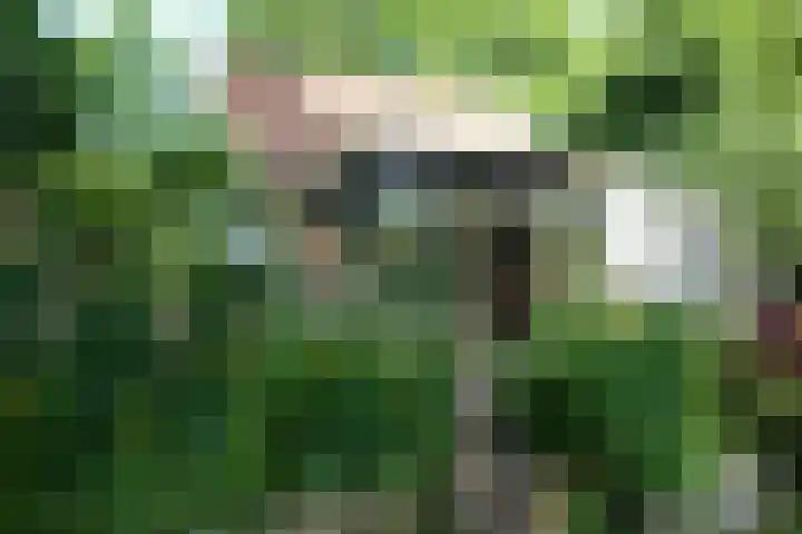 Polderdijk 32 Rumpt thumbnail 56