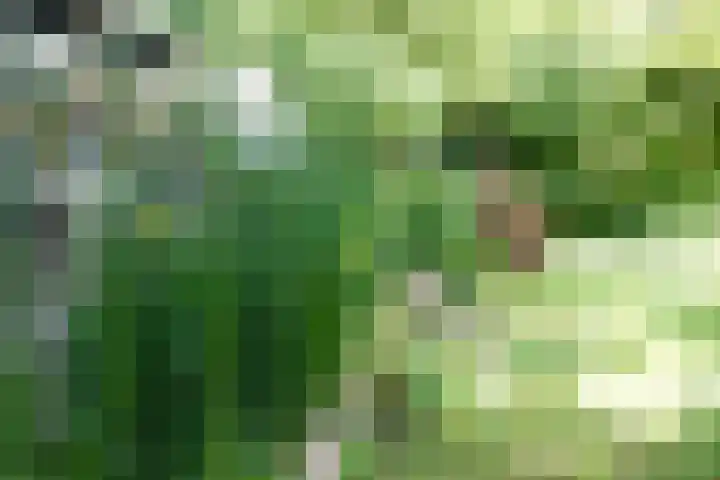 Polderdijk 32 Rumpt thumbnail 57
